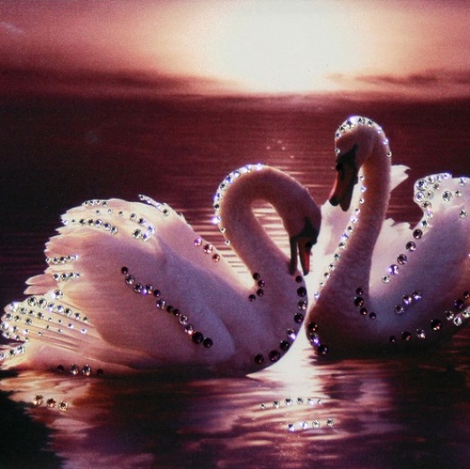 Лебедь символ любви. Любовь и лебеди. Пара лебедей. Лебеди символ любви. Лебеди символ любви и верности.