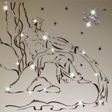 Картина СОЗВЕЗДИЕ ВОДОЛЕЙ (кристаллы Swarovski) 35*35см